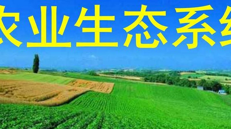露天水果防病，从预防到控制的全流程要点