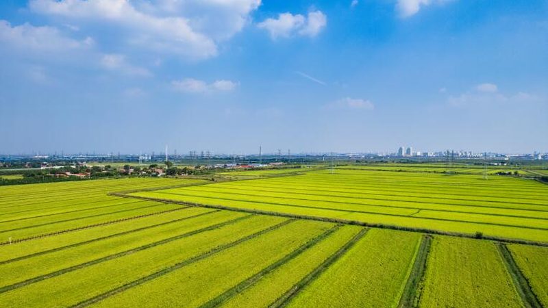 温室种植温湿度参数设置：关键因素与优化策略