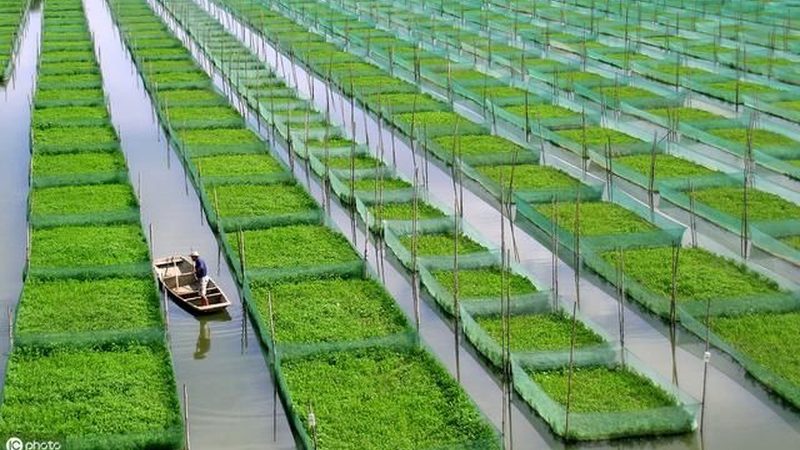 农业项目申报，这些材料清单你准备好了吗？**