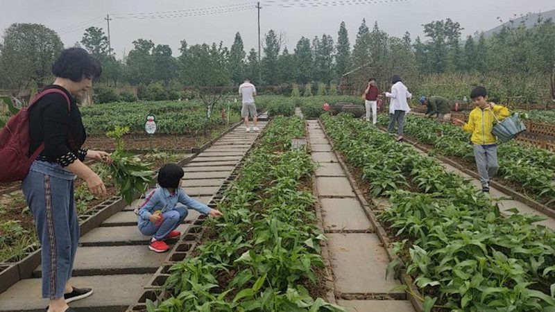 合作社品牌注册优先权怎么用