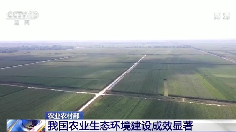 绿色食品与有机食品：两者的认证区别解析