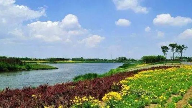 目前，我国针对农产品批发市场的税收优惠政策主要包括以下几种类型：