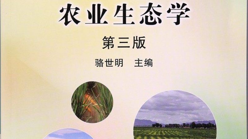 休闲观光农业产业园规划：从“看风景”到“卖体验”的升级逻辑