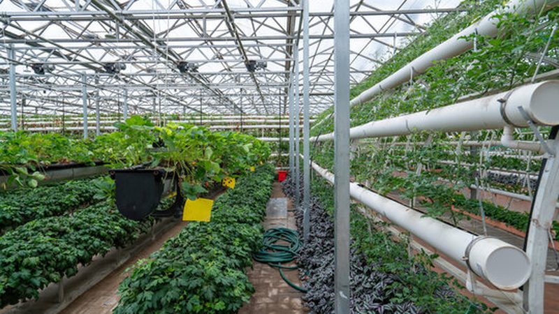 昆明农业种植技术培训学校排名：如何选择适合自己的培训课程