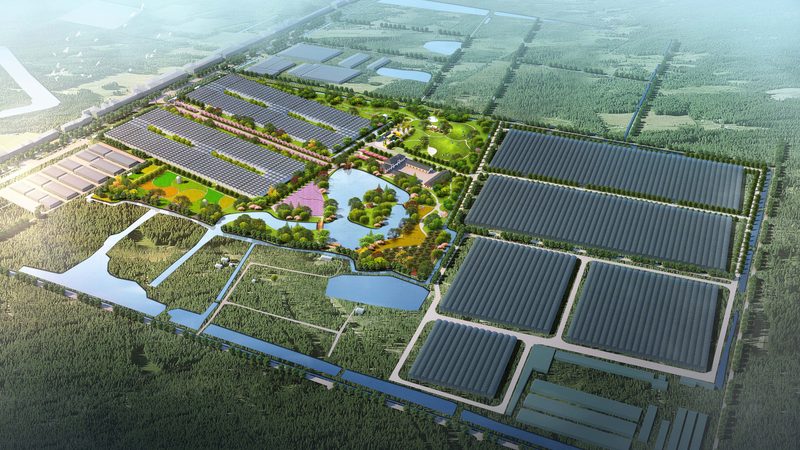 智慧农业加盟代理平台：助力农业现代化的关键枢纽