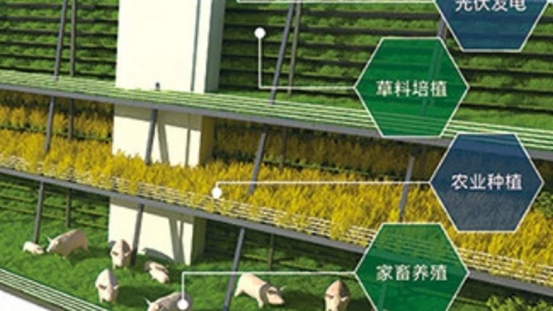 农业产业园盈利模式解析：策略与实操**