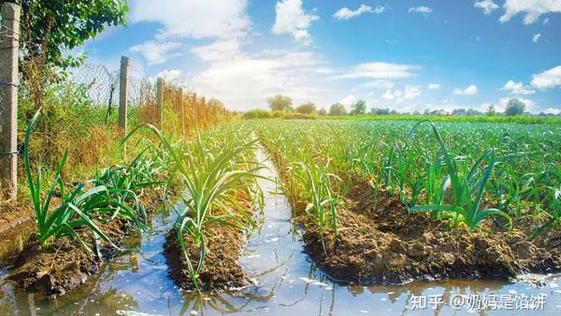 生鲜冷链物流报价里的隐形账本