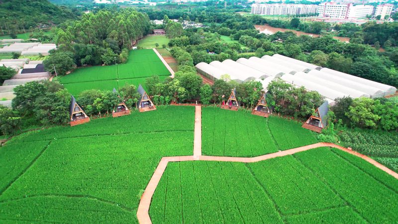 大棚种植机械：型号与规格全解析**