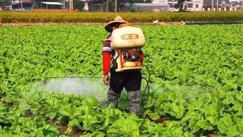 成都农产品冷链配送：守护舌尖上的安全