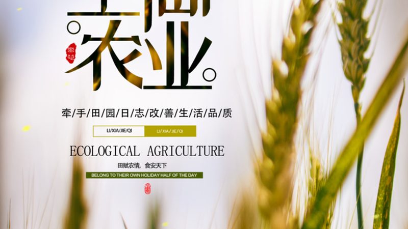 智能温室大棚：农业现代化的关键设施**